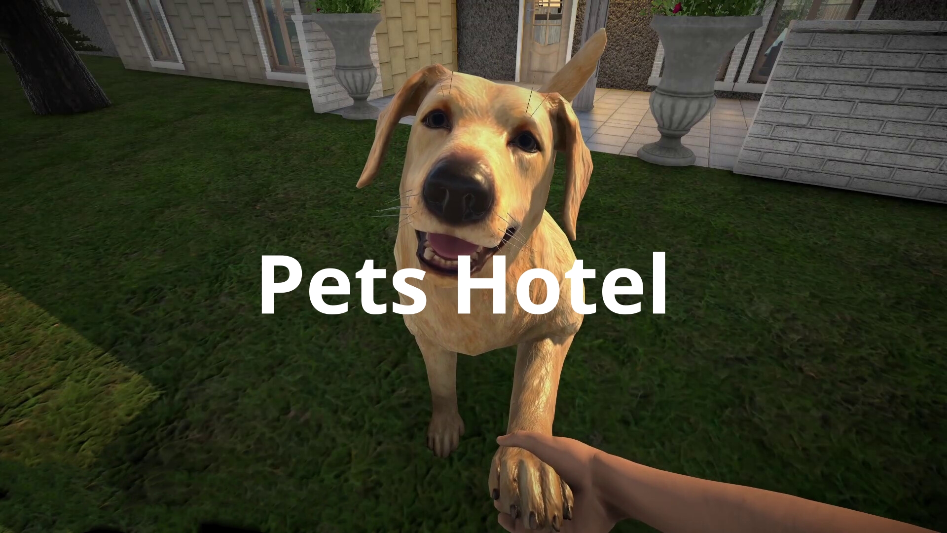 宠物旅馆（Pets Hotel）中文版