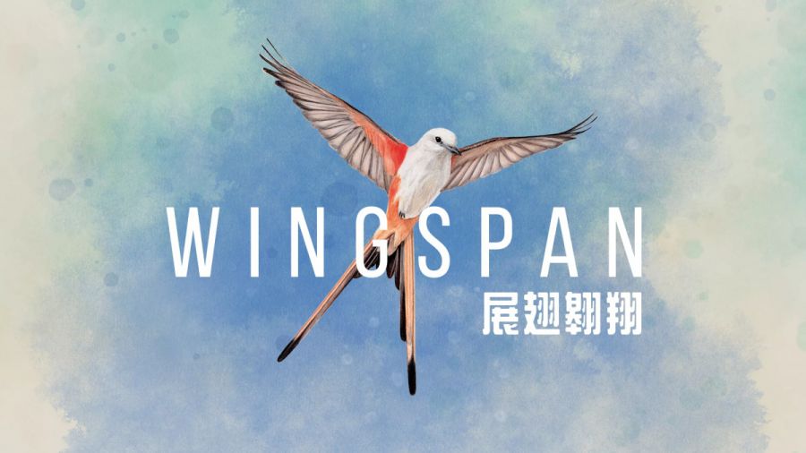 展翅翱翔（Wingspan）中文版