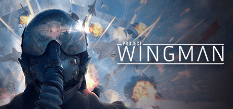 僚机计划（Project Wingman）中文版