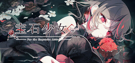 宝石少女2nd.cut(2nd.cut:For the Exquisite Attire)中文版